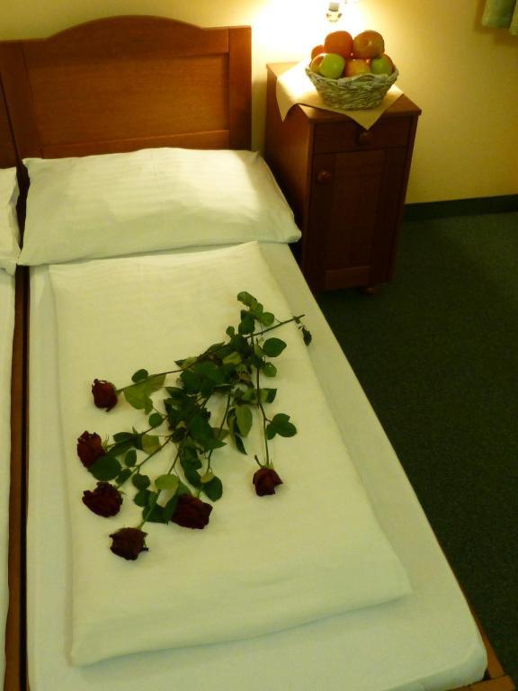 Hotel Korunni Princ Турнов Екстериор снимка