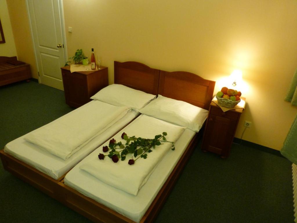 Hotel Korunni Princ Турнов Екстериор снимка