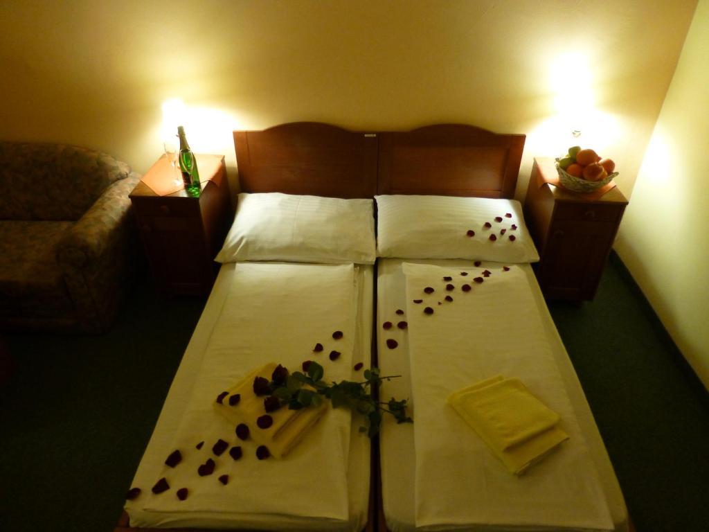 Hotel Korunni Princ Турнов Стая снимка